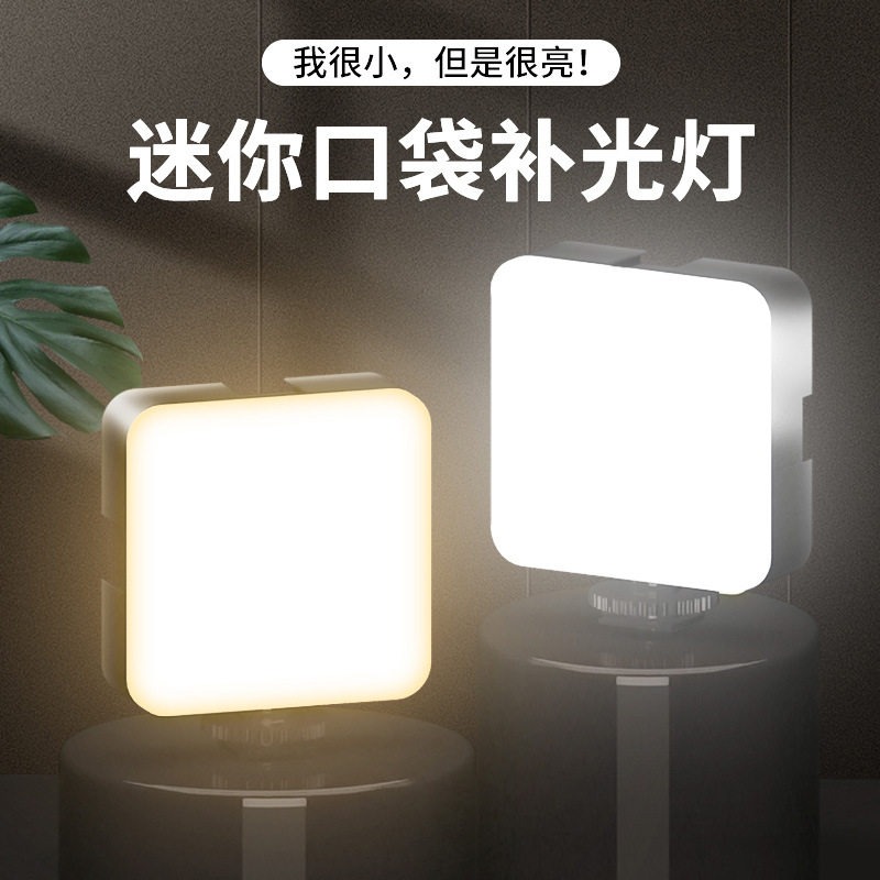 Portrait Photography With Lighting - Luce Video Portatile Tascabile con 3