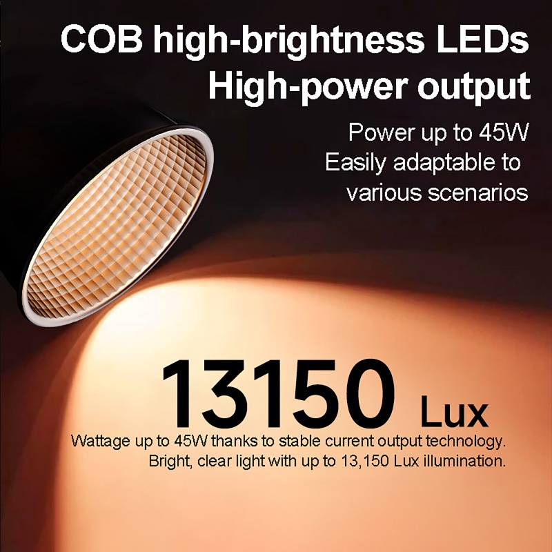Luce Video RGB 60W Portatile L - Photography Lighting For Products recensione e prezzo