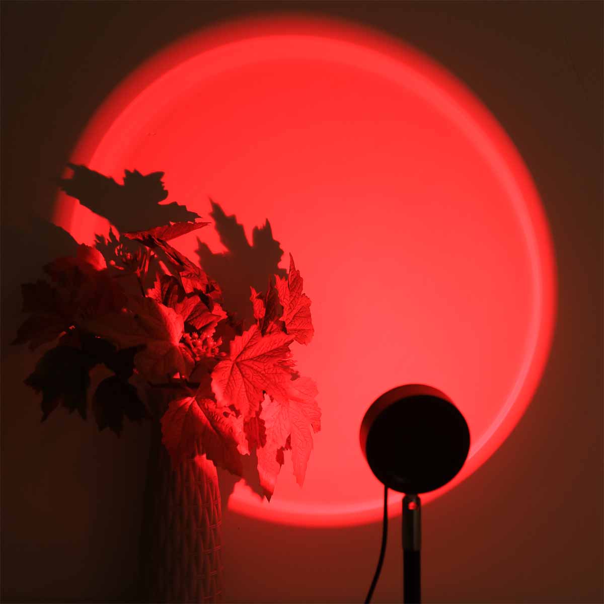 Lampada di Proiezione Tramonto - Photography Lighting Setup recensione e prezzo