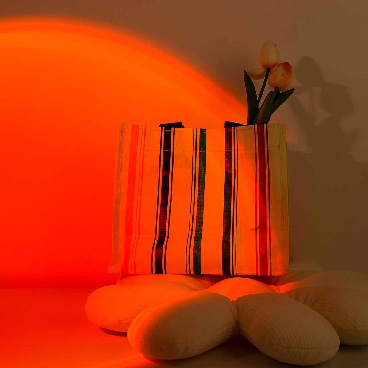 Lampada di Proiezione Tramonto - Photography Lighting Setup recensione e prezzo